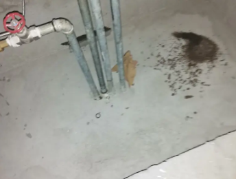 长泰卫生间测漏水价格明细