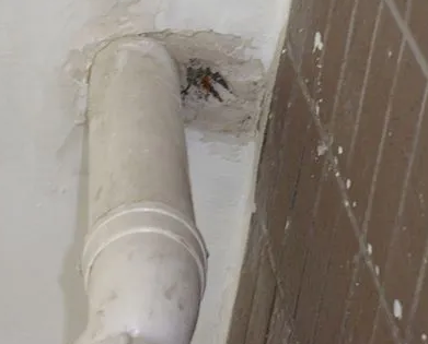 长泰漏水检测哪家好